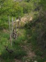 Vines are planted everywhere, even in thie small ravine