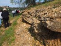 Where the golden stones come from for buildings