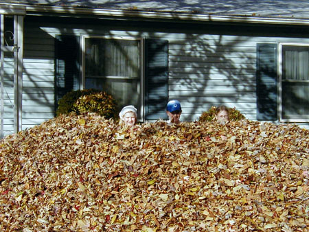 buriedleaves02