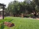 Lawn at C.G. di Arie
