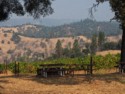 More picnic tables and views