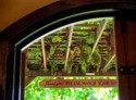 Real grapes hang from the arbor