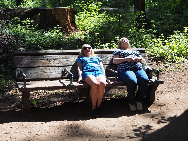 Eloise and Linda recline to look at the tree tops