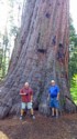 Pete and Livingston next a tree that shows fire marks