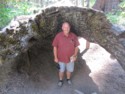 Pete can stand up insde this hollow log