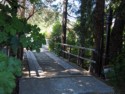 Wood bridge